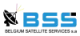 BSS